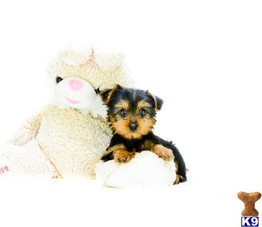 addisongood Picture 2